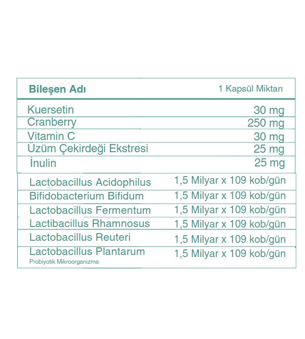 Ekran görüntüsü 2025-02-12 173645