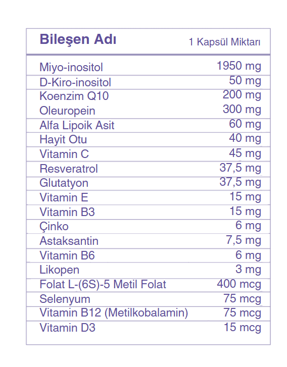 Ekran görüntüsü 2025-02-12 174101